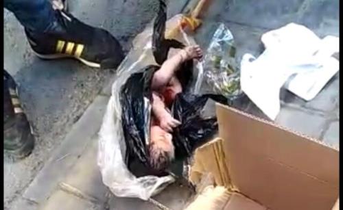 انتقال نوزاد رها شده در سطل زباله به بهزیستی