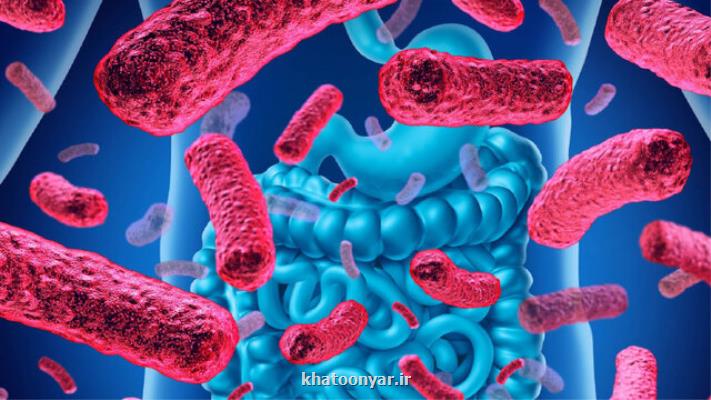 بیماری ای که زنان ۷ برابر بیش از مردان به آن مبتلا می شوند