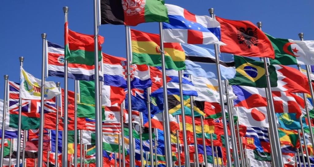 بهترین موسسه مهاجرتی ایران کدام است