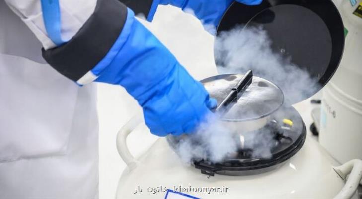 فریز تخمک در دختران از هزینه ها تا یک چالش قانونی