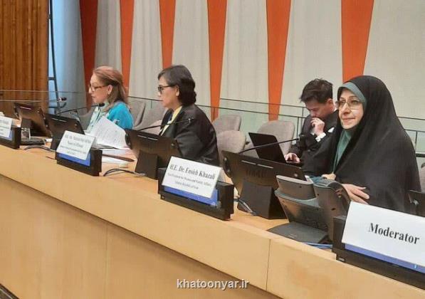 پنل تخصصی توانمندسازی زنان توان افزایی خانواده، توسعه جامعه در سازمان ملل