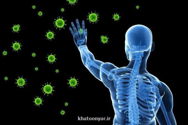 میوه هایی که سبب تقویت سیستم ایمنی بدن می شوند