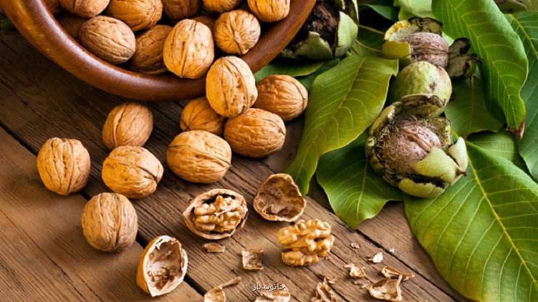 این آجیل خواب خوب را تضمین می نماید