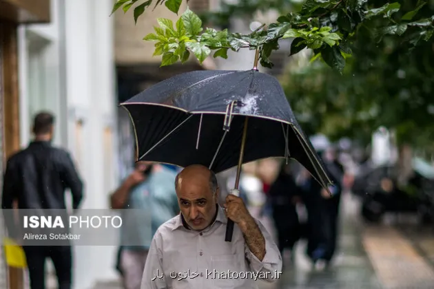 کچل ها امیدی برای بارندگی باران!