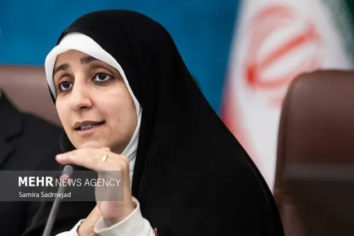 بهروز آذر: بیش از ۸۰ درصد مجوزهای مشاغل خانگی به زنان رسید