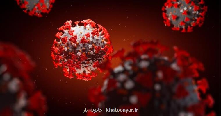 شمار مبتلایان روزانه كرونا در هند ركورد زد
